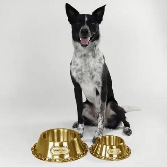 NWT~Snoop Doggie Doggs' Off The Chain Deluxe Gold SS Dog Bowl (5 Cups, 42 FL OZ) - Picture 2 of 13